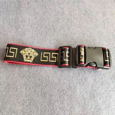 fake versace dog collar|versace dog collar and leash.